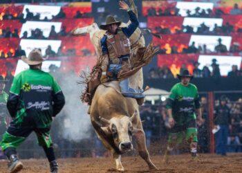Festa do Peão de Americana terá transmissão do Brasil na Copa em telão na arena; veja programação