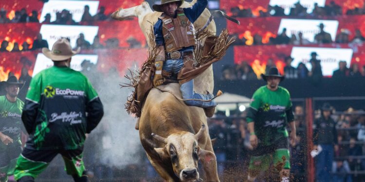Festa do Peão de Americana terá transmissão do Brasil na Copa em telão na arena; veja programação