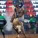 Festa do Peão de Americana terá transmissão do Brasil na Copa em telão na arena; veja programação
